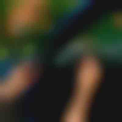 Bandă de etanșare pentru ușa mașinii (5m) | EVOSEAL