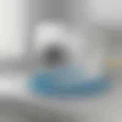 Perie flexibilă pentru curățarea conductei uscătorului | DRYKIT